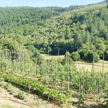 Cévennes Méridionales Maison Linge Fourni
