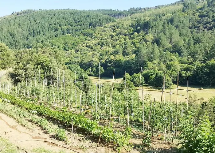 Cévennes Méridionales Maison Linge Fourni